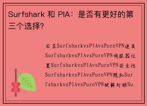 Surfshark 和 PIA：是否有更好的第三个选择？